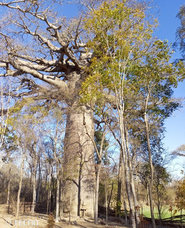 IMG_20220811_155558_956