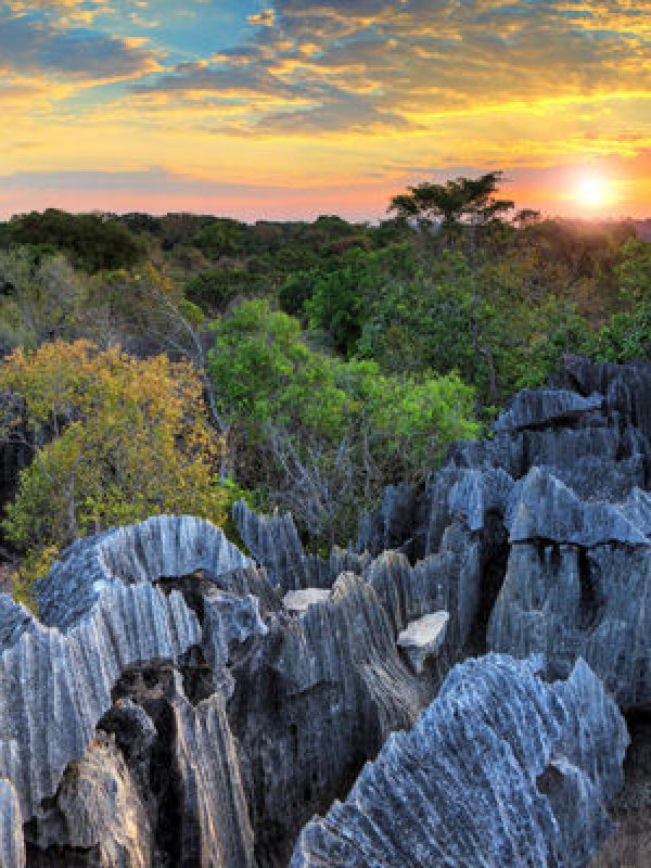 04_reserve_naturelle_de_Tsingy