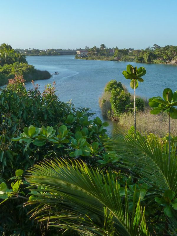 littoral-sud-est-de-Madagascar
